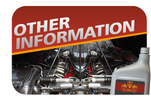 otherinfo